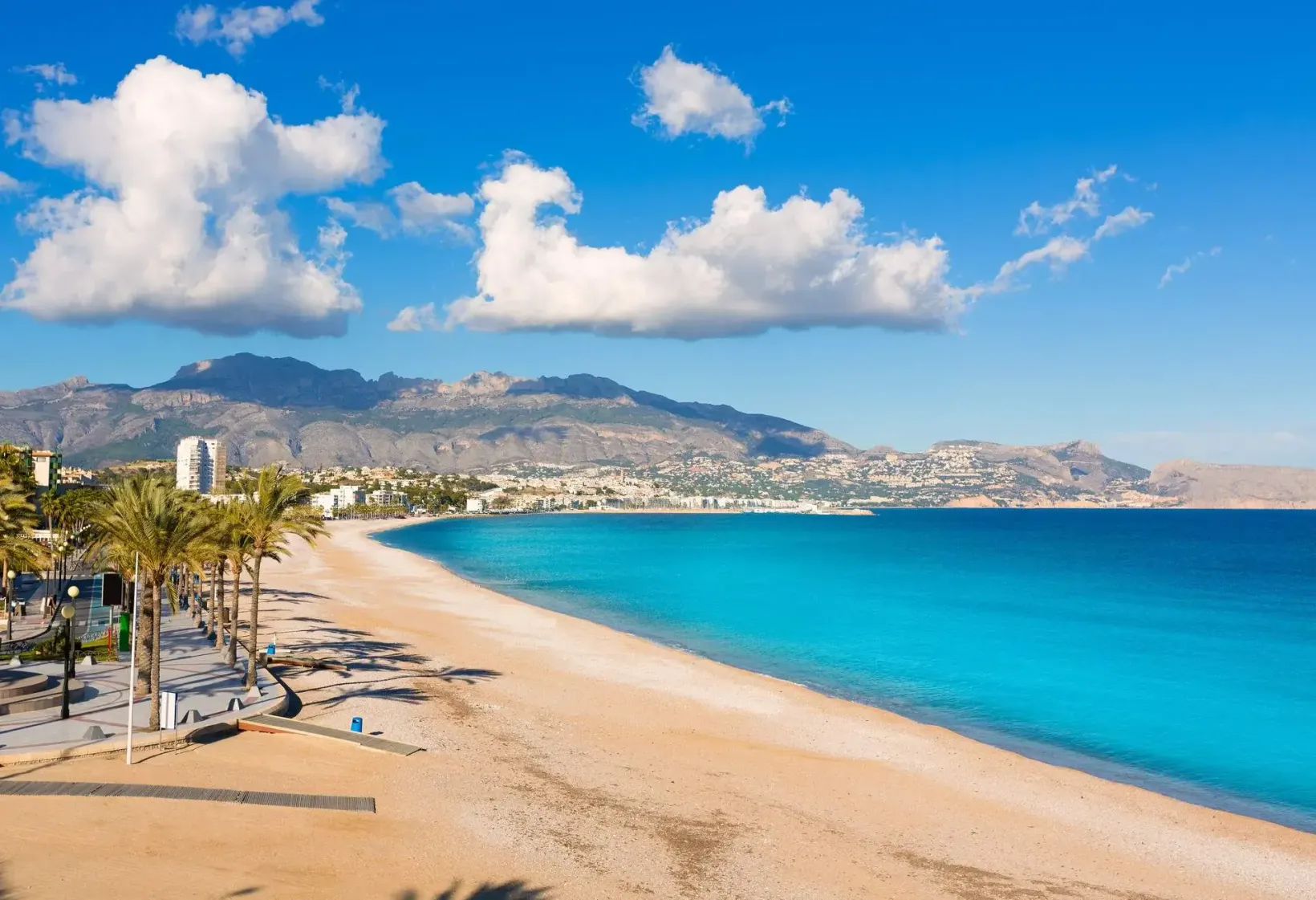 Alicante 3