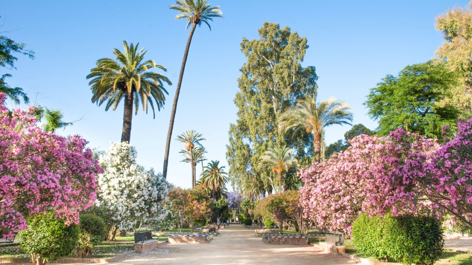 Maria Luisa Park in Sevilla