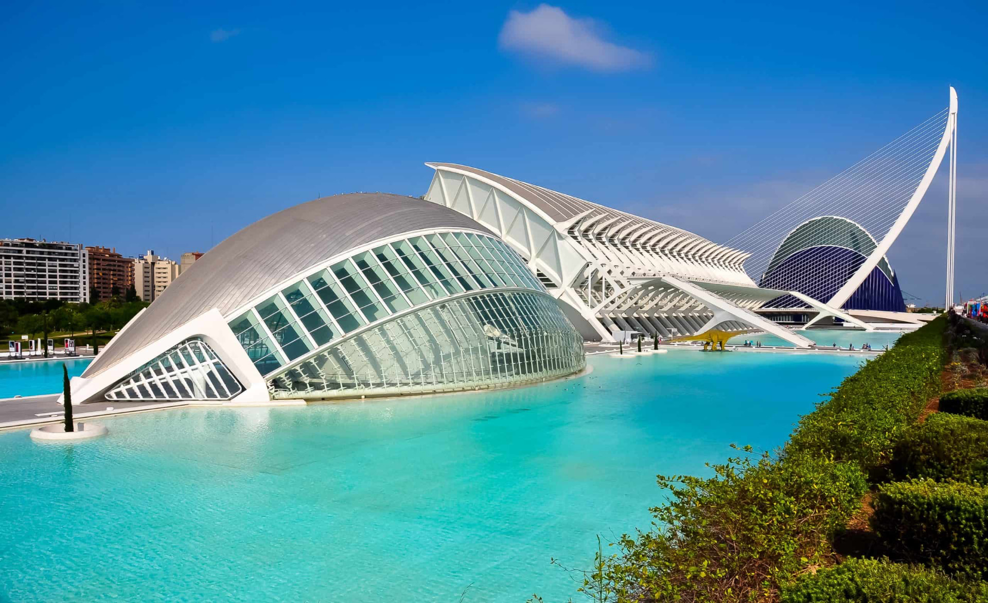 Ciudad de las Artes y las Ciencias in Valencia